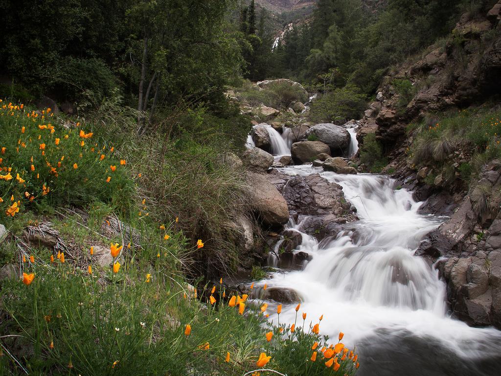 Cascada De Las Animas San Alfonso Eksteriør bilde